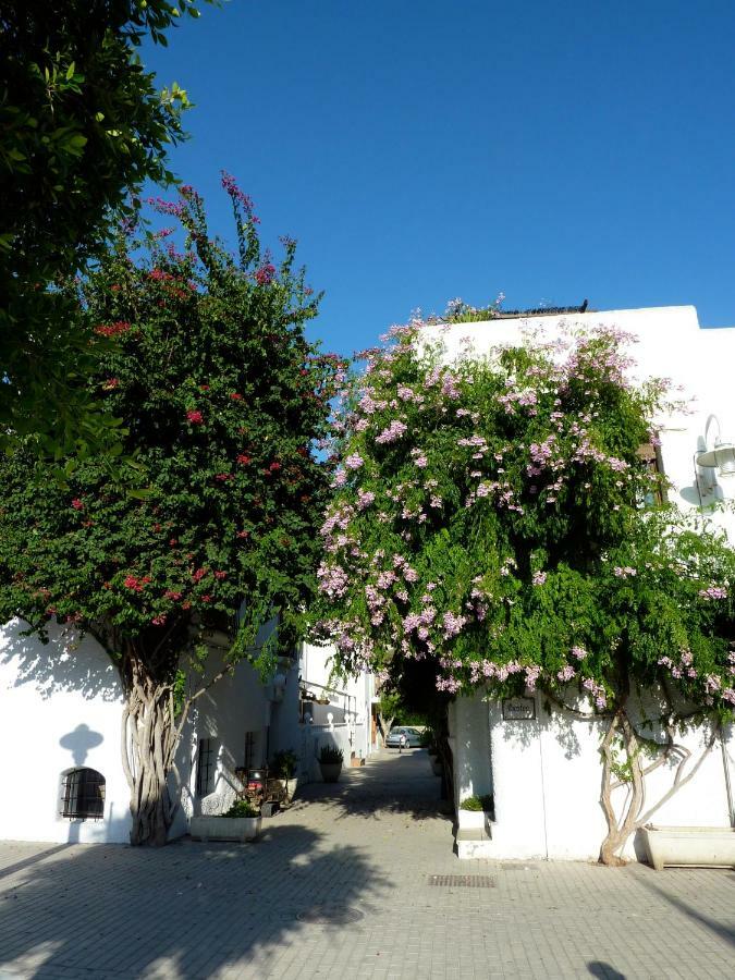 Villa El Malenito à Agua Amarga  Extérieur photo